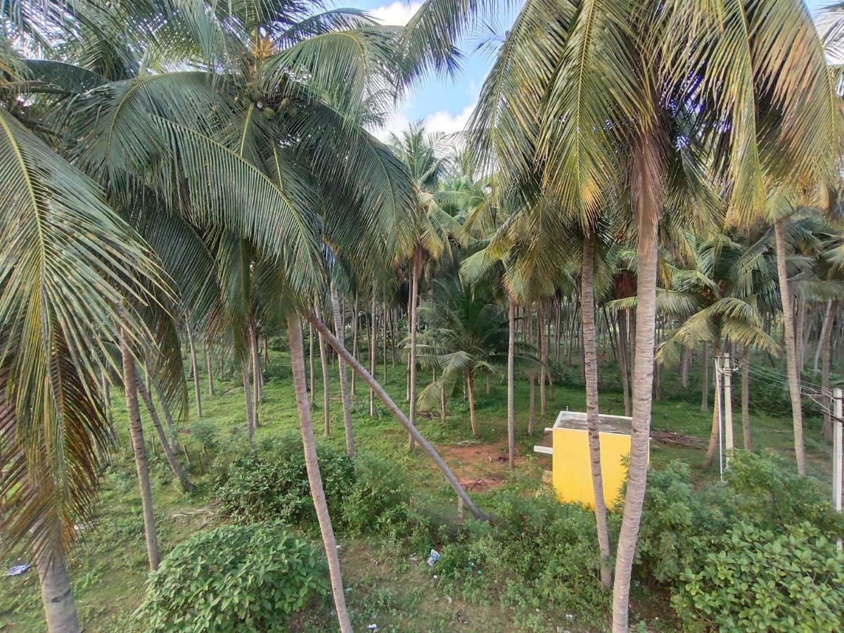 PV Inn Puducherry Eksteriør billede